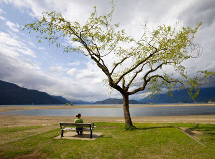 #Cerpen: “Memori” – Debi&nbsp;Dwiningsih